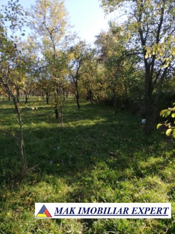 teren-de-vanzare-1860-mp-intravilan-marcus-campulung-muscel-arges-ideal-investitie-1