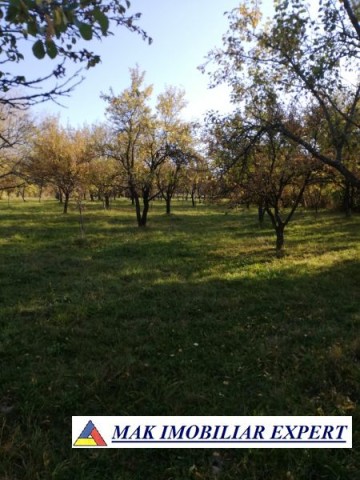 teren-de-vanzare-1860-mp-intravilan-marcus-campulung-muscel-arges-ideal-investitie