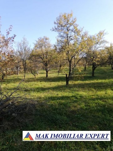 teren-de-vanzare-1860-mp-intravilan-marcus-campulung-muscel-arges-ideal-investitie-2