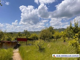 de-vanzare-vila-6-camere-cu-teren-3600-mp-cetateni-arges-51