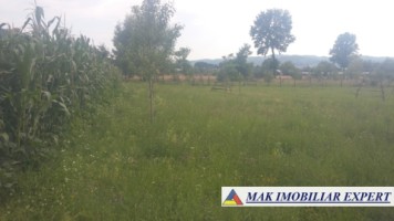 teren-intravilan-5000-mp-de-vanzare-in-aninoasa-ideal-pentru-constructii-rezidentiale-9