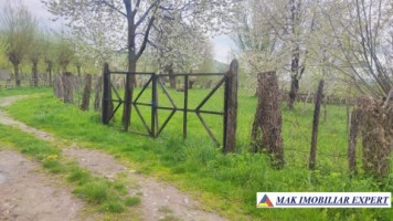 teren-intravilan-5000-mp-de-vanzare-in-aninoasa-ideal-pentru-constructii-rezidentiale