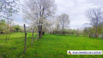 teren-intravilan-5000-mp-de-vanzare-in-aninoasa-ideal-pentru-constructii-rezidentiale-6