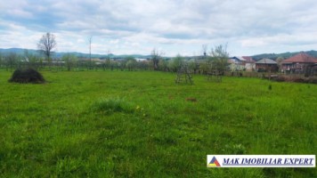 teren-intravilan-5000-mp-de-vanzare-in-aninoasa-ideal-pentru-constructii-rezidentiale-5
