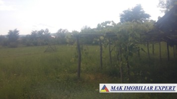 teren-intravilan-5000-mp-de-vanzare-in-aninoasa-ideal-pentru-constructii-rezidentiale-10