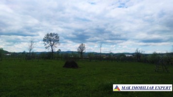 teren-intravilan-5000-mp-de-vanzare-in-aninoasa-ideal-pentru-constructii-rezidentiale-11