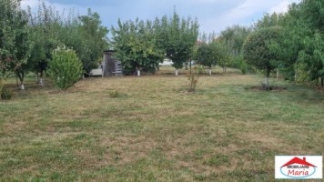 casa-noua-finisata-tip-parter-in-lazuri-cu-teren-96-arii-id-22916-14