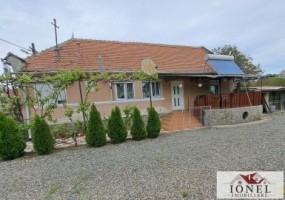 vanzare-casa-cu-2000-mp-teren-in-zona-vintu-de-jos