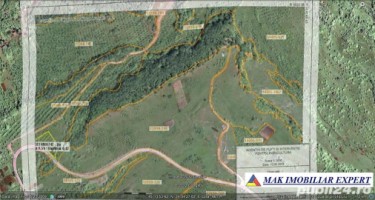 padure-55-ha-si-teren-3-ha-25-ha-de-vanzare-in-aninoasa-arges-oportunitate-investitionala-9