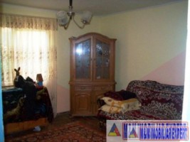 casa-2-camere-cu-teren-1755-mp-bughea-de-jos-case-de-vanzare-arges-refugiu-in-mijlocul-naturii-5