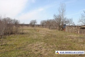 teren-intravilan-3685-mp-de-vanzare-in-visina-dambovita-oportunitate-de-investitie-2