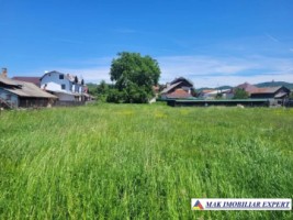 teren-intravilan-2414-mp-in-domnesti-oportunitate-de-investitie-in-arges