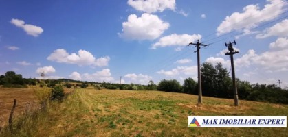 teren-de-181-ha-intravilan-si-extravilan-de-vanzare-in-domnesti-arges-oportunitate-excelenta-de-investitie-2