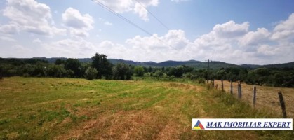 teren-de-181-ha-intravilan-si-extravilan-de-vanzare-in-domnesti-arges-oportunitate-excelenta-de-investitie-1