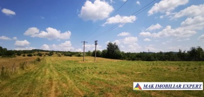 teren-de-181-ha-intravilan-si-extravilan-de-vanzare-in-domnesti-arges-oportunitate-excelenta-de-investitie-3