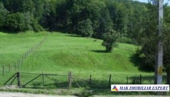 teren-superb-3000-mp-cu-proiect-cabana-si-casa-in-namaesti-valea-mare-pravat-arges-1