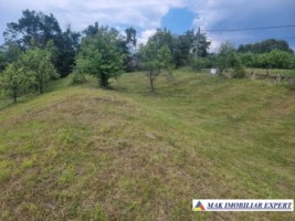 teren-intravilan-4095-mp-de-vanzare-in-cetateni-arges-ideal-pentru-constructii-sau-investitie-2