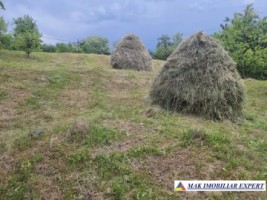 teren-intravilan-4095-mp-de-vanzare-in-cetateni-arges-ideal-pentru-constructii-sau-investitie