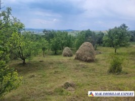 teren-intravilan-4095-mp-de-vanzare-in-cetateni-arges-ideal-pentru-constructii-sau-investitie-1