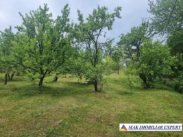 teren-intravilan-4095-mp-de-vanzare-in-cetateni-arges-ideal-pentru-constructii-sau-investitie-3