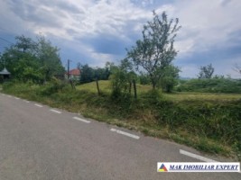 teren-intravilan-4095-mp-de-vanzare-in-cetateni-arges-ideal-pentru-constructii-sau-investitie-5