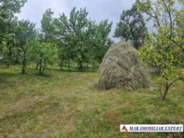 teren-intravilan-4095-mp-de-vanzare-in-cetateni-arges-ideal-pentru-constructii-sau-investitie-4