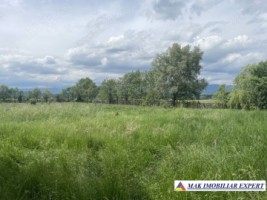 teren-intravilan-de-2000-mp-de-vanzare-in-campulung-muscel-arges-oportunitate-pentru-dezvoltare