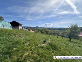 teren-3500-mp-intravilan-de-vanzare-in-bughea-de-sus-arges-ideal-pentru-constructii-rezidentiale-2