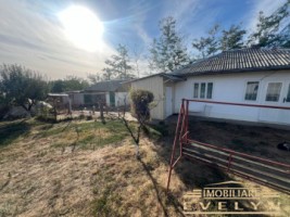 de-vanzare-casa-teren-5000mp-zona-catamarasti-deal-pret-55000-euro-negociabil-1