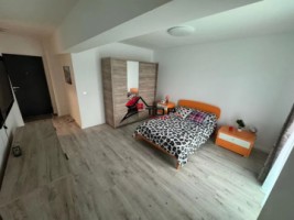 apartament-cu-1-camera-bucium-visani