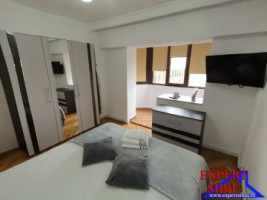 inchiriez-apartament-2-camere-decomandatrenovatzona-parc-sub-arini-3