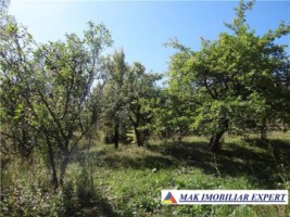 casa-in-nucsoara-arges-la-casa-cu-4-camere-teren-8500-mp-3