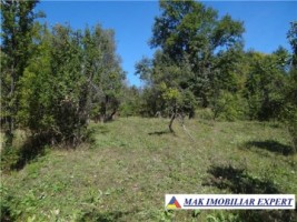 casa-in-nucsoara-arges-la-casa-cu-4-camere-teren-8500-mp-2