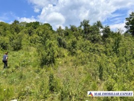 extravilan-1-ha-in-corbi-arges-oportunitate-de-investitie-in-natura-4