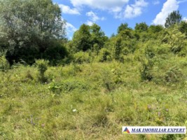 extravilan-1-ha-in-corbi-arges-oportunitate-de-investitie-in-natura-2