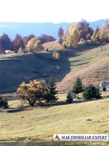 teren-intravilan-712-mp-in-dambovicioara-arges-locatia-ideala-pentru-casa-ta-de-vacanta-sau-locuinta-permanenta-4