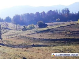 teren-intravilan-712-mp-in-dambovicioara-arges-locatia-ideala-pentru-casa-ta-de-vacanta-sau-locuinta-permanenta-8