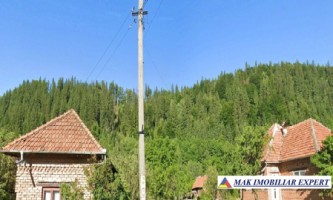 padure-urgenta-de-vanzare-67-ha-in-leresti-oportunitate-ideala-pentru-investitii-2