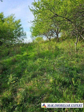 teren-de-4300-mp-cu-casa-batraneasca-de-vanzare-in-campulung-muscel-arges-oportunitate-ideala-3