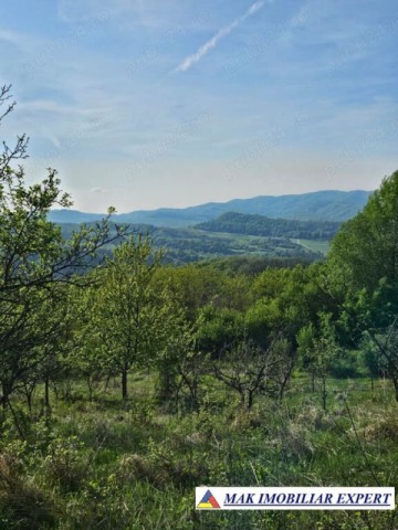 teren-de-4300-mp-cu-casa-batraneasca-de-vanzare-in-campulung-muscel-arges-oportunitate-ideala-5