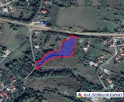 teren-intravilan-5565-mp-de-vanzare-in-campulung-muscel-arges-oportunitate-pentru-investitie-3