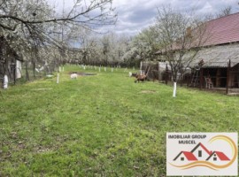 casa-de-vacanta-mihaiesti-judetul-arges-pret-65000-euro-7