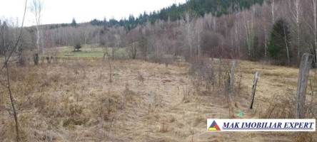 teren-intravilan-6600-mp-de-vanzare-in-leresti-arges-oportunitate-pentru-dezvoltare-rezidentiala-sau-agricola-1