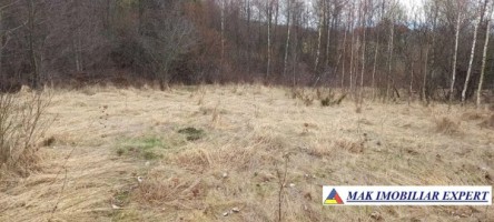 teren-intravilan-6600-mp-de-vanzare-in-leresti-arges-oportunitate-pentru-dezvoltare-rezidentiala-sau-agricola