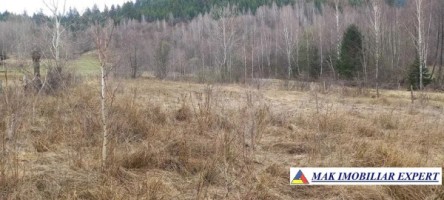 teren-intravilan-6600-mp-de-vanzare-in-leresti-arges-oportunitate-pentru-dezvoltare-rezidentiala-sau-agricola-2