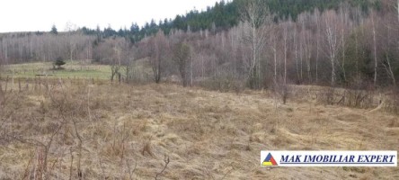 teren-intravilan-6600-mp-de-vanzare-in-leresti-arges-oportunitate-pentru-dezvoltare-rezidentiala-sau-agricola-3