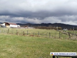 teren-2200-mp-intravilan-de-vanzare-in-domnesti-arges-ideal-pentru-constructii-rezidentiale