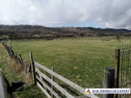 teren-2200-mp-intravilan-de-vanzare-in-domnesti-arges-ideal-pentru-constructii-rezidentiale-5