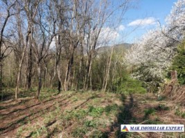 teren-1702-mp-extravilan-de-vanzare-in-nucsoara-arges-ideal-pentru-dezvoltare-agricola-sau-recreationala