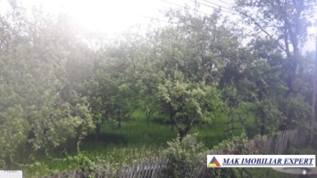 teren-6000-mp-intravilan-de-vanzare-in-corbi-arges-ideal-pentru-constructii-rezidentiale-sau-turistice-1